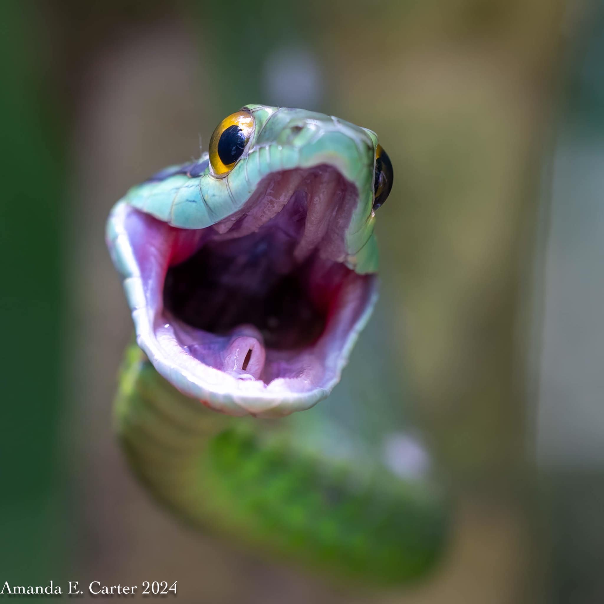 471210814_10231272154979212_3323735579370138306_n