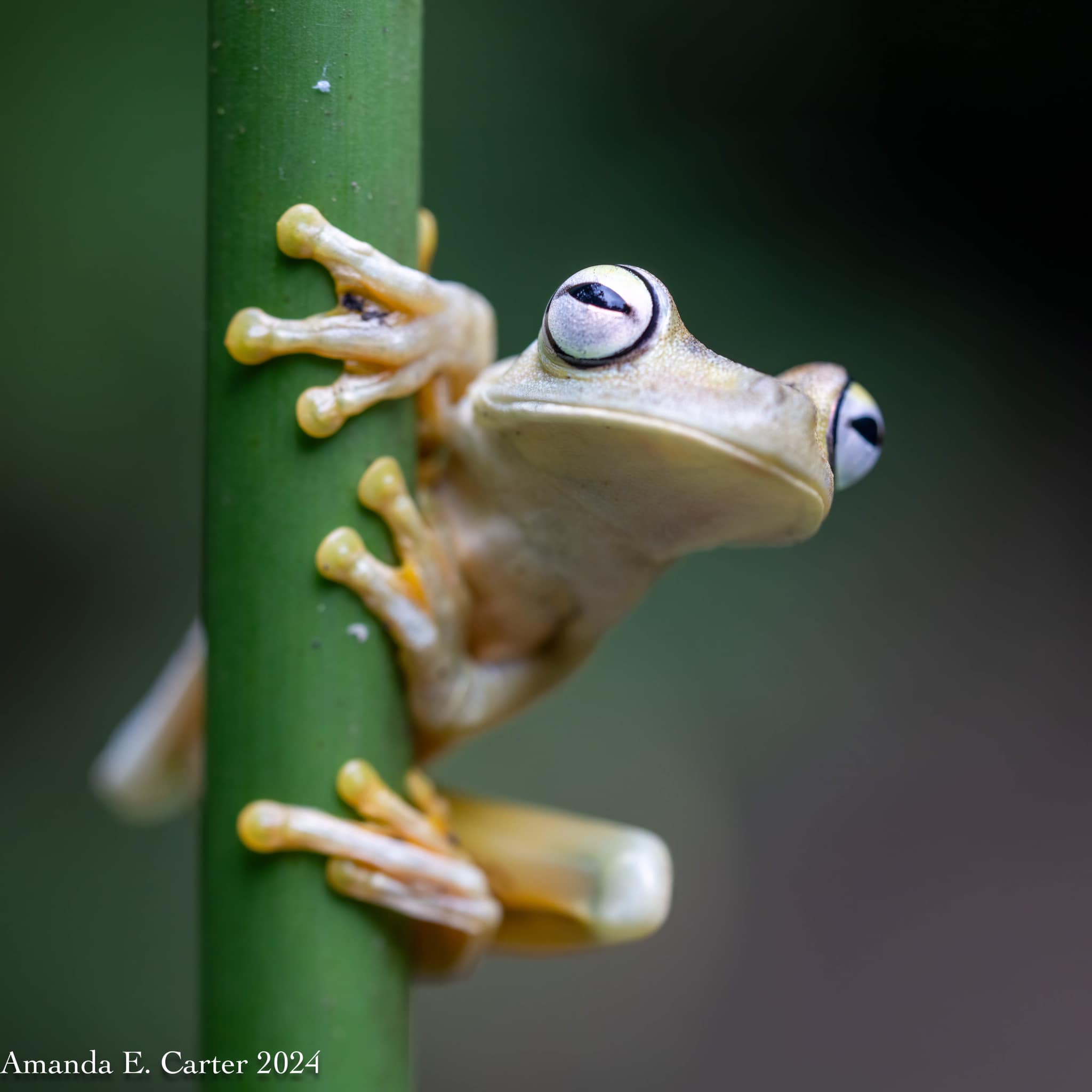 471596284_10231272154499200_9201168788664756878_n